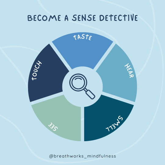 A circle with five segments labelled with the five senses and a magnifying glass in the middle